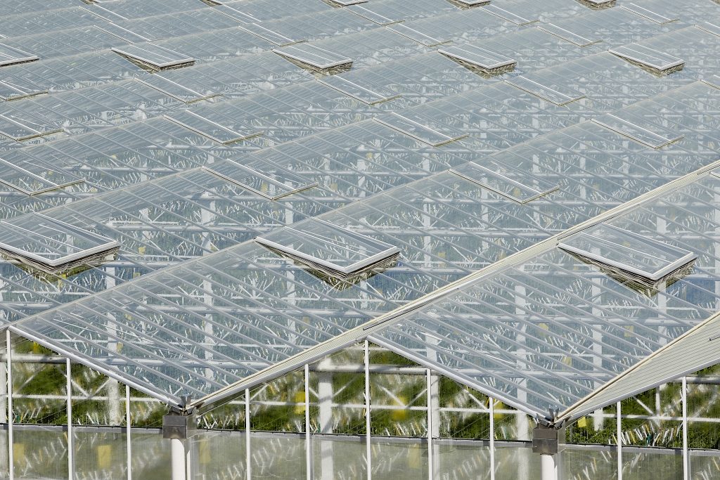 Vue Eco serres Tom d'Aqui