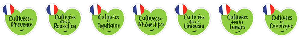 Rougeline Origines Sud de la France TomdAqui