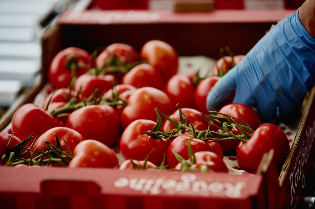 Tom d'Aqui 2024 conditionnement tomates grappes carton