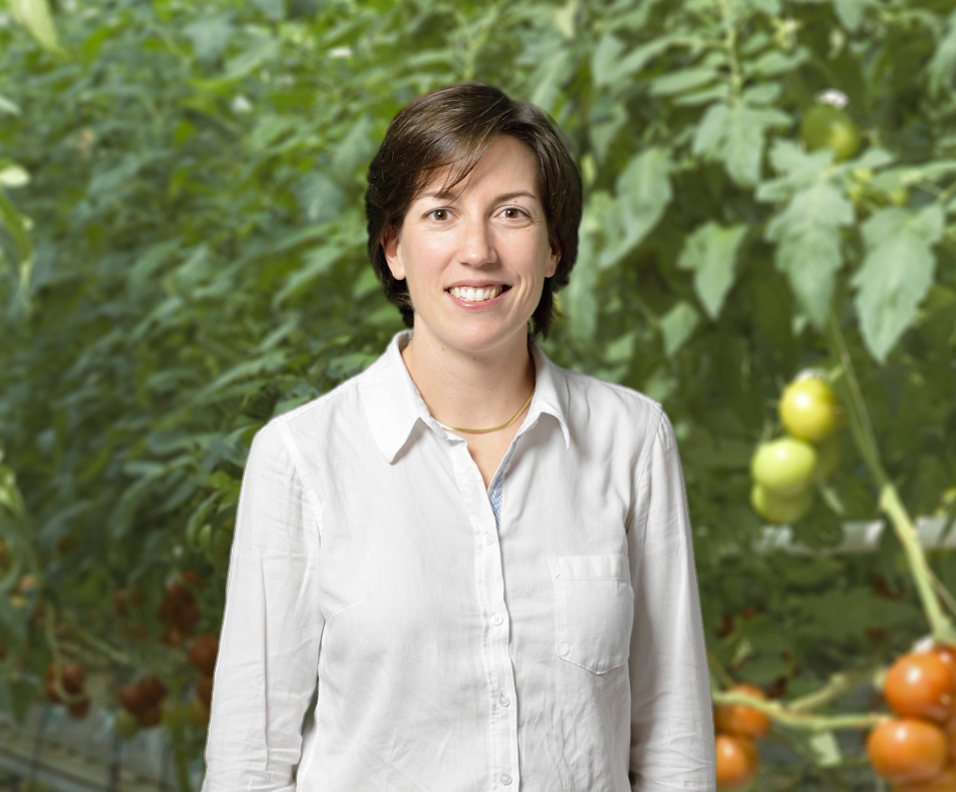 Adèle AUDOY, Administratrice