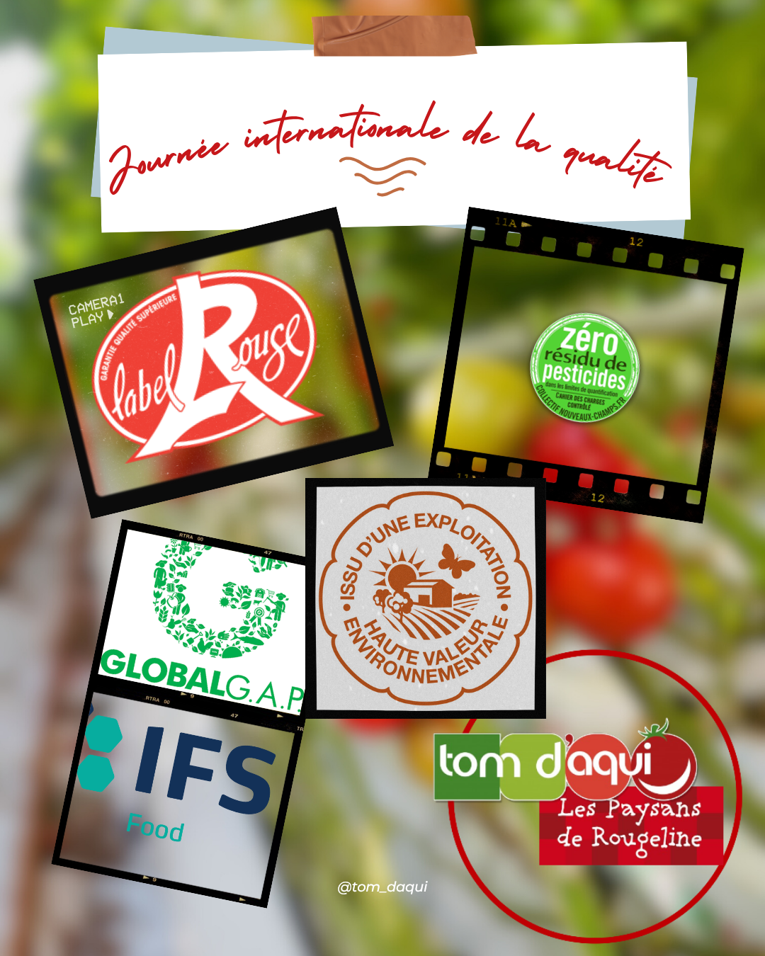 Tomdaqui logo qualité