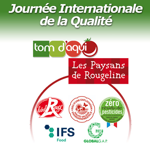 Journée internationale de la qualité